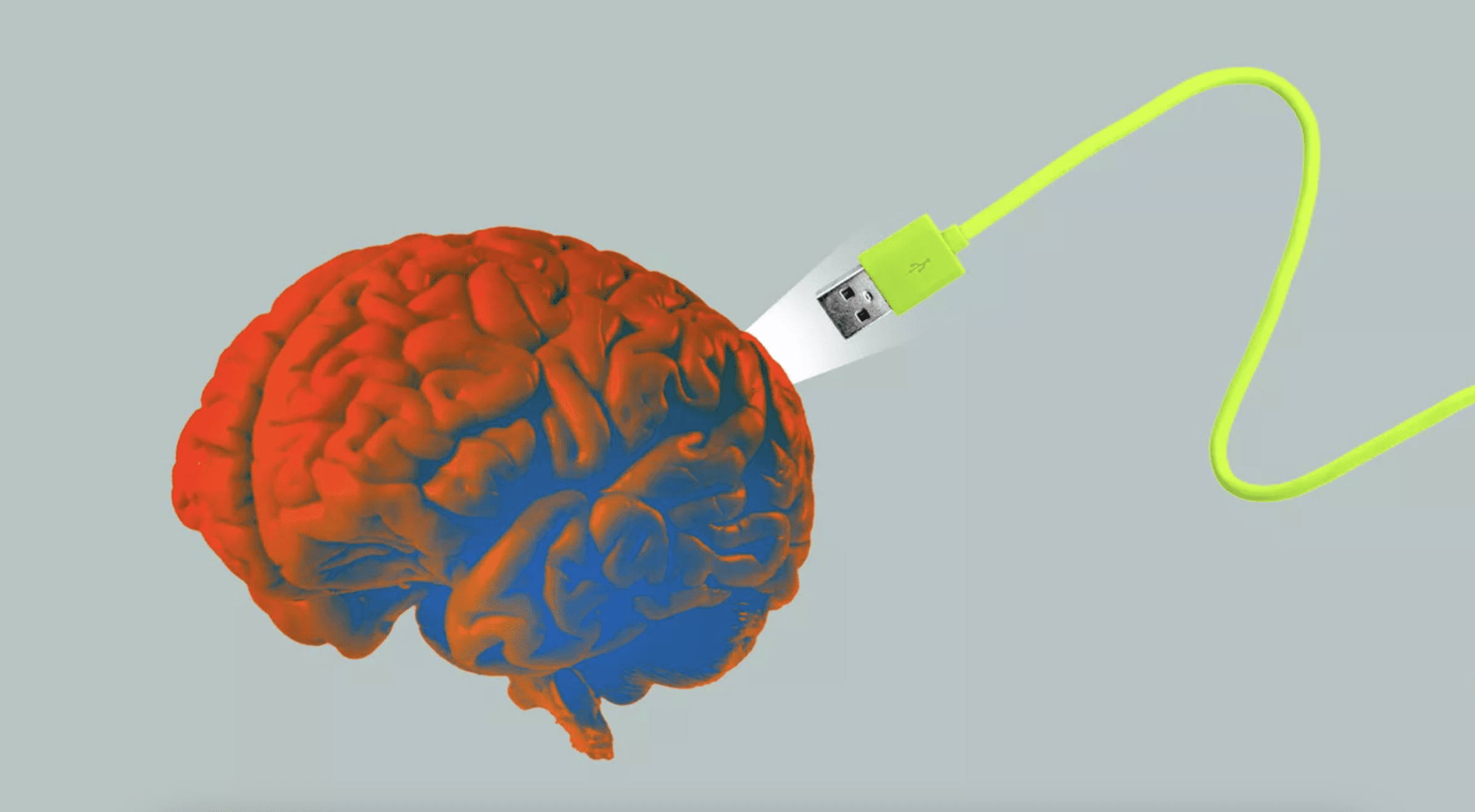 a brain with a USB cord plugged into it